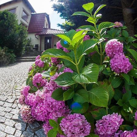 Villa Jasmin ジェロナ・グラ エクステリア 写真