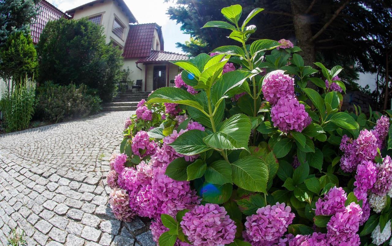 Villa Jasmin ジェロナ・グラ エクステリア 写真